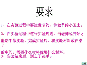 教科版小學科學六年級下冊第二單元《米飯、淀粉和碘酒的變化》PPT課件