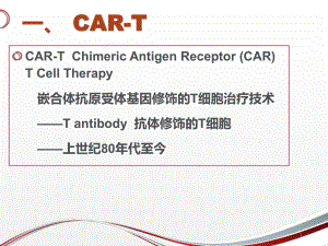 CAR-T嵌合体抗原受体基因修饰的T细胞治疗技术