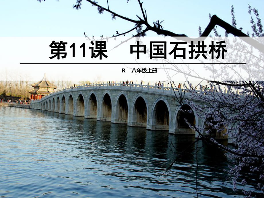 11中国石拱桥 (2)_第1页