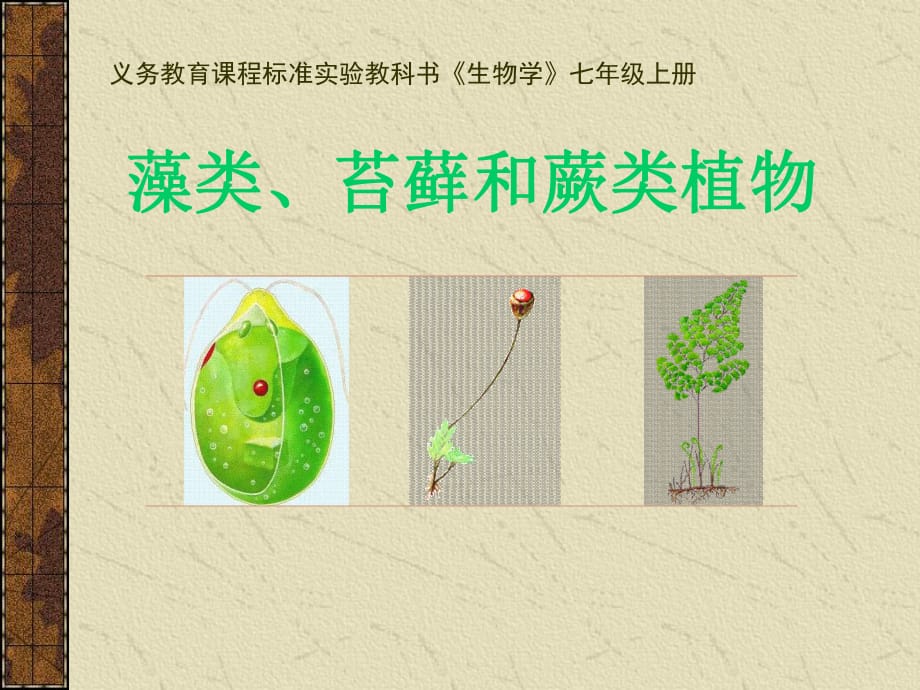 初中生物《藻類、苔蘚和蕨類植物_》課件_第1頁