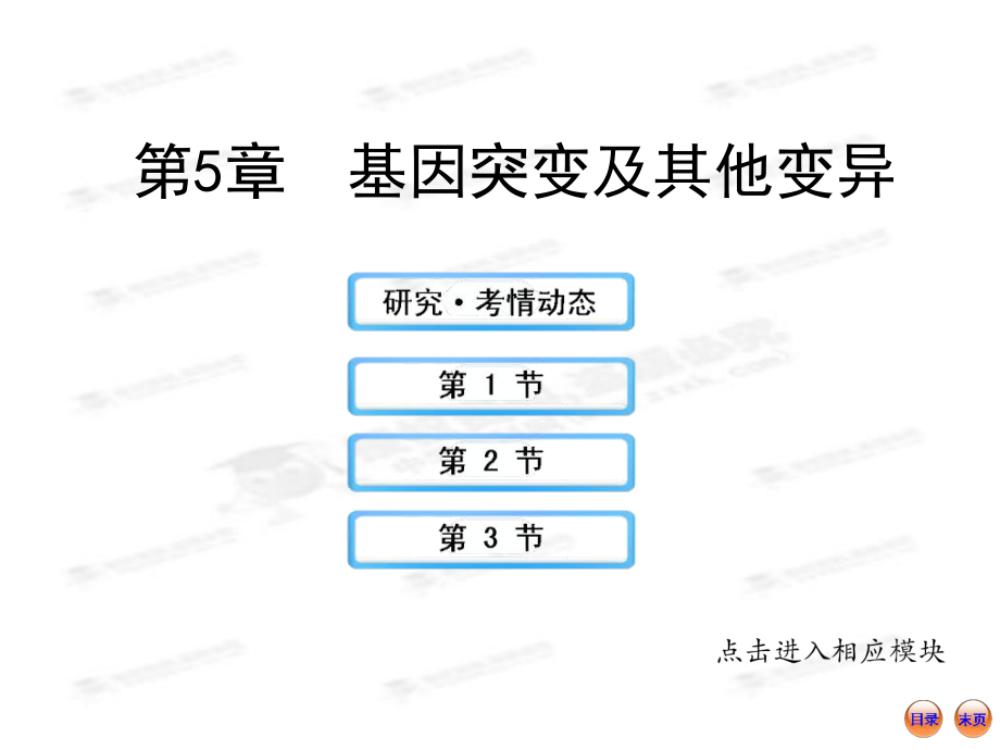 【江蘇專用】2013版高中生物全程復(fù)習(xí)方略（人教版）配套課件：2.5基因突變及其他變異_第1頁(yè)