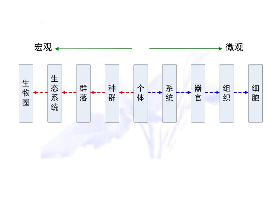 必修三43群落的结构_第1页