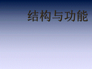 通用技術(shù) 結(jié)構(gòu)與設(shè)計(jì) 結(jié)構(gòu)與功能