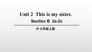 第4課時(shí)（SectionB2a-2c）-副本