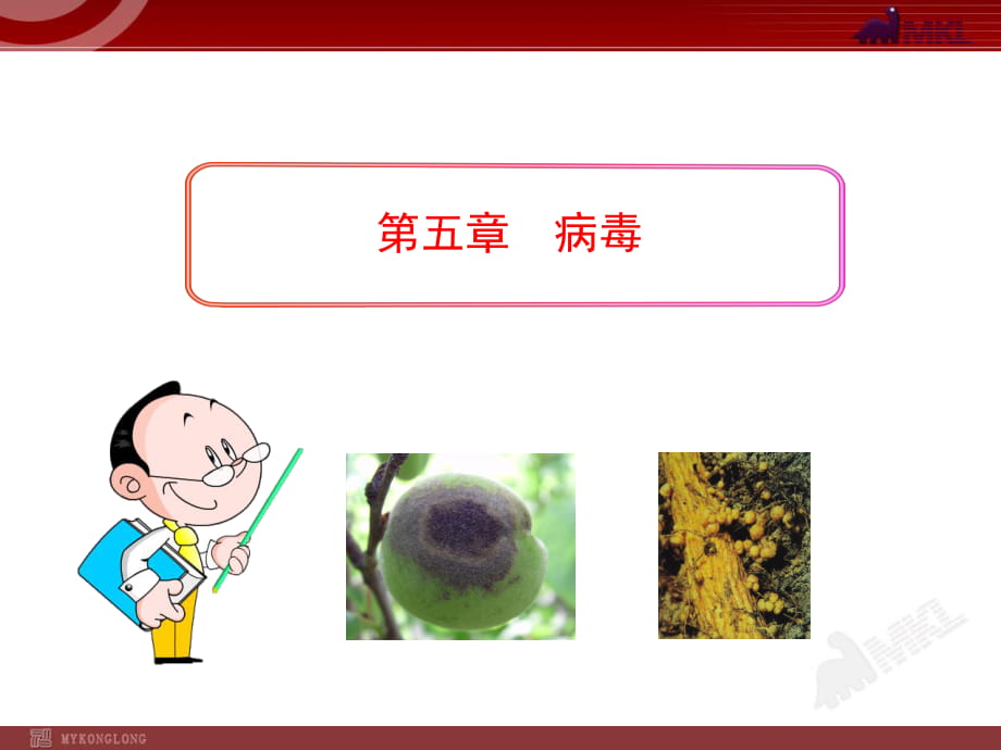 新人教版初中生物PPT课件：第5单元第5章病毒（人教版八年级上）_第1页