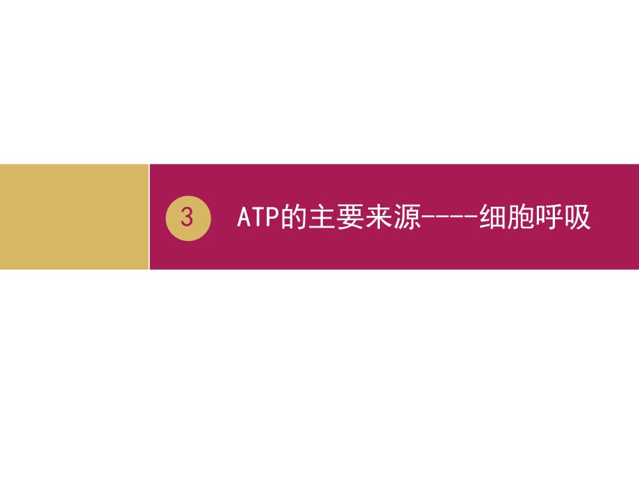 ATP的主要來源——細胞呼吸 (2)_第1頁