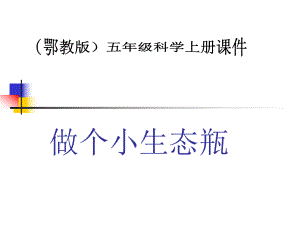 鄂教版小學(xué)科學(xué)五年級上冊《做個小生態(tài)瓶》課件