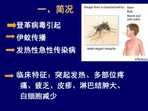 登革热DengueFever传染病教研室课件