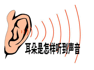 耳和听觉-耳的结构与听觉的形成