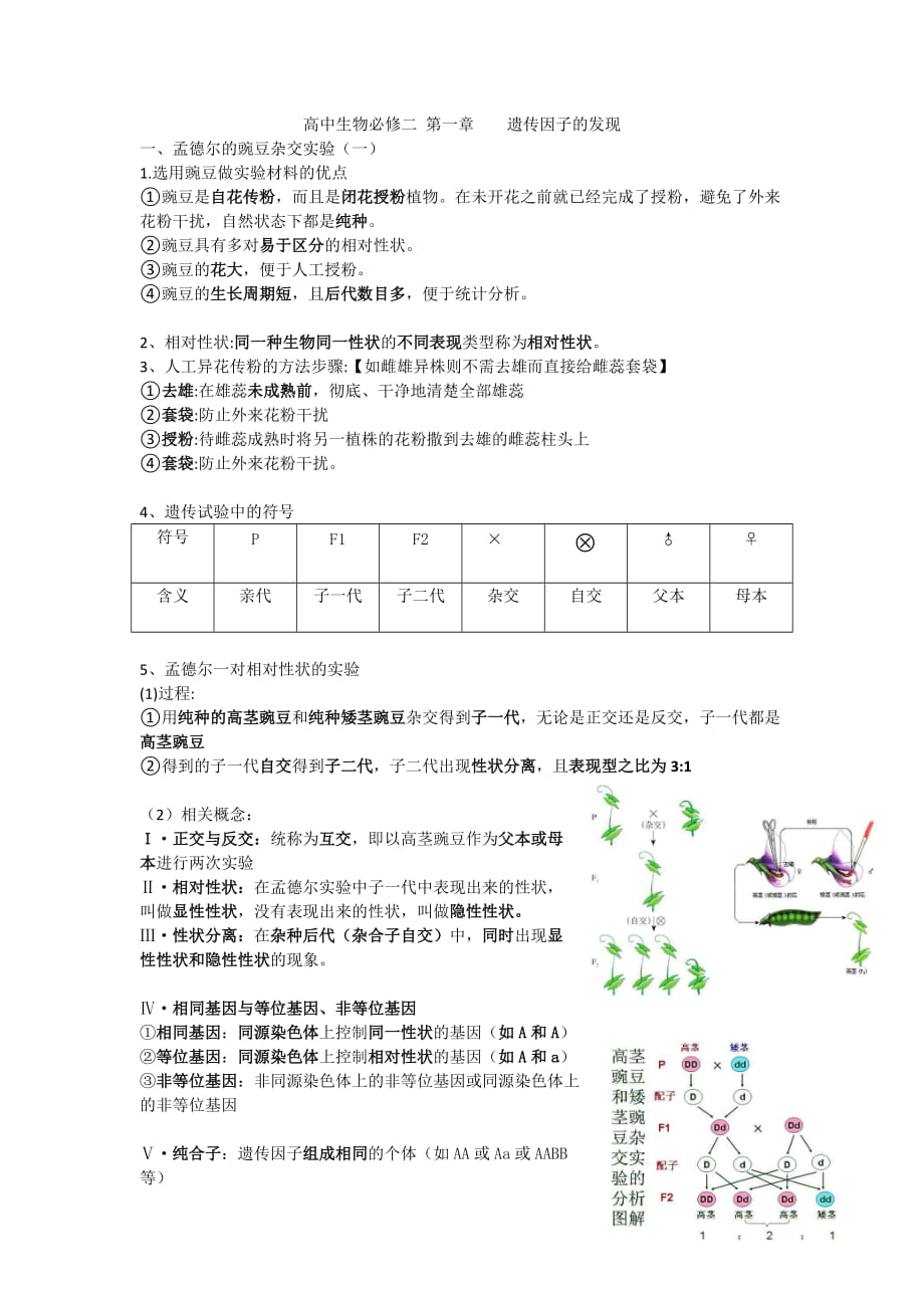 高中生物必修二 第一章 遺傳因子的發(fā)現(xiàn)_第1頁