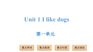 四年級上冊英語課件－Unit 1 I like dogs ｜譯林版(三起) (共17張PPT)