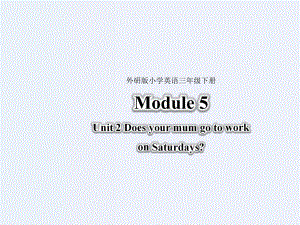 三年级下册英语课件-Module 5 Unit 2 Does your mum go to work on Saturdays∣外研社 （三起）(共18.ppt)