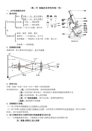 細(xì)胞的多樣性與統(tǒng)一性 知識(shí)點(diǎn)總結(jié)