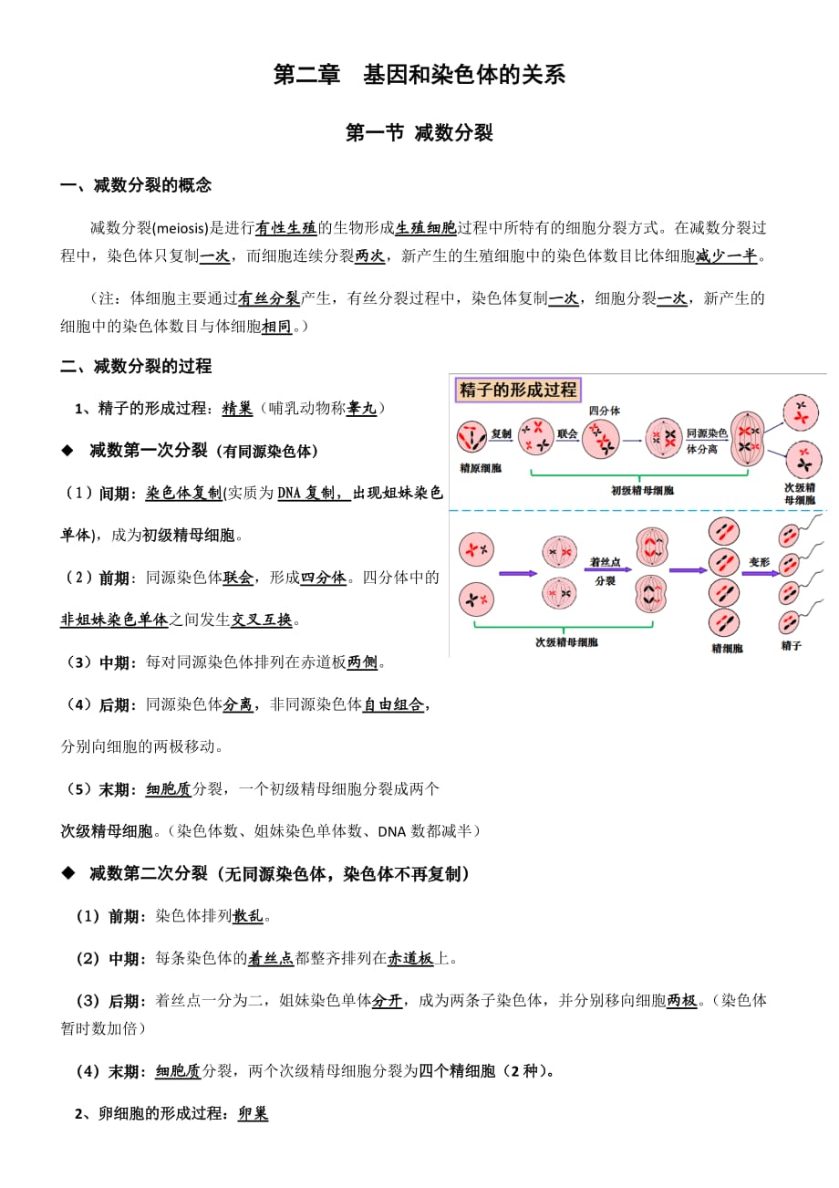 高中生物 人教版必修二 第二章 知识点总结_第1页