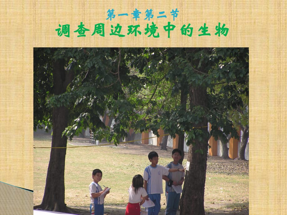 [中學(xué)聯(lián)盟]廣東省臺山市新寧中學(xué)七年級生物上冊教學(xué)課件：第一單元+第一章+第2節(jié)+調(diào)查校園周圍邊環(huán)境中的生物（共15張PPT）(1)_第1頁