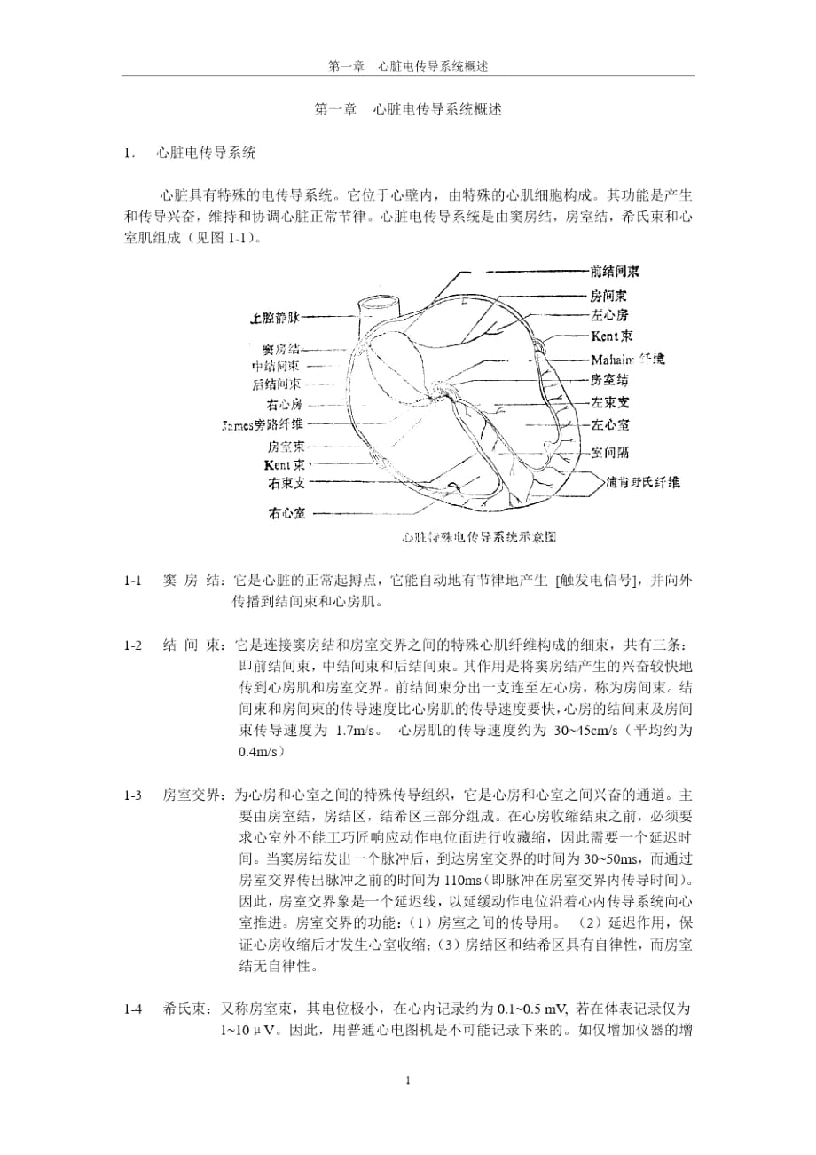 心脏电传导系统概述_第1页