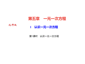 1 認(rèn)識(shí)一元一次方程 第1課時(shí)　認(rèn)識(shí)一元一次方程