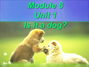 一年級(jí)上冊(cè)英語(yǔ)課件-Module 7 Unit 1 Is it a dog 3｜外研社