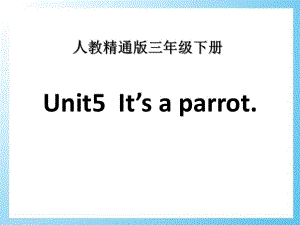 人教版（精通）英語(yǔ)三下Unit 5《It’s a parrot》（Lesson 26）ppt教學(xué)課件