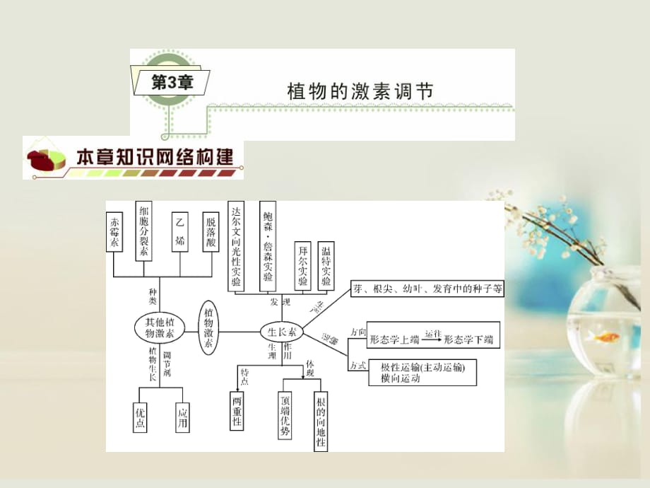 【名師金典】2014高考生物一輪復(fù)習(xí)（基礎(chǔ)知識(shí)整理+重難點(diǎn)聚集）第3章植物的激素調(diào)節(jié)課件新人教版必修3_第1頁(yè)