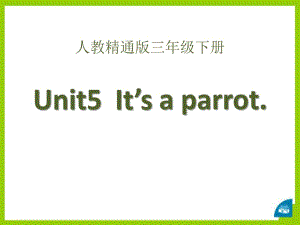 人教版（精通）英語(yǔ)三下Unit 5《It’s a parrot》（Lesson 27）ppt教學(xué)課件