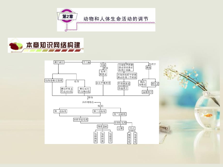 【名師金典】2014高考生物一輪復(fù)習(xí)（基礎(chǔ)知識整理+重難點(diǎn)聚集）第2章動(dòng)物和人體生命活動(dòng)的細(xì)節(jié)課件新人教版必修3_第1頁