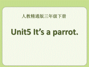 人教版（精通）英語三下Unit 5《It’s a parrot》（Lesson 29）ppt教學課件