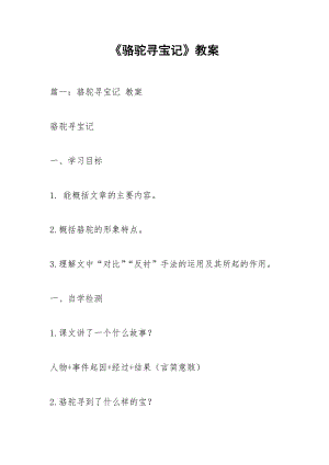 《駱駝尋寶記》教案