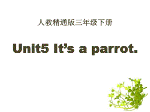 人教版（精通）英語(yǔ)三下Unit 5《It’s a parrot》（Lesson 25）ppt教學(xué)課件