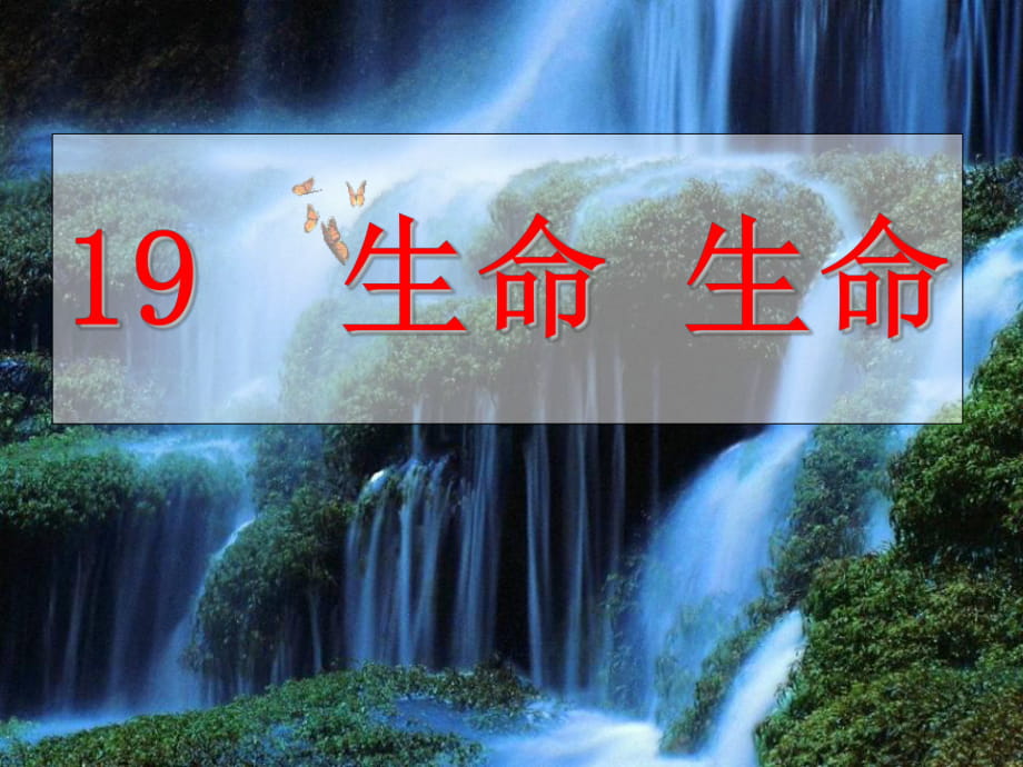 人教四下《19　生命 生命》ppt课件1_第1页