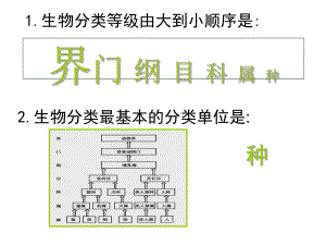 人教版八上第六單元第二章認(rèn)識(shí)生物的多樣性（共39張PPT）