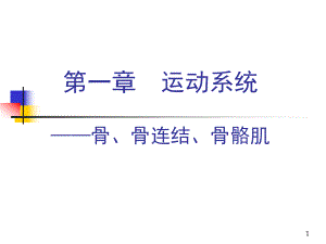 《運動系統(tǒng)》PPT課件 (2)