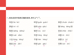 六年級上冊語文課件 期末- 字詞專項訓(xùn)練 l人教新課標 (共12張PPT)