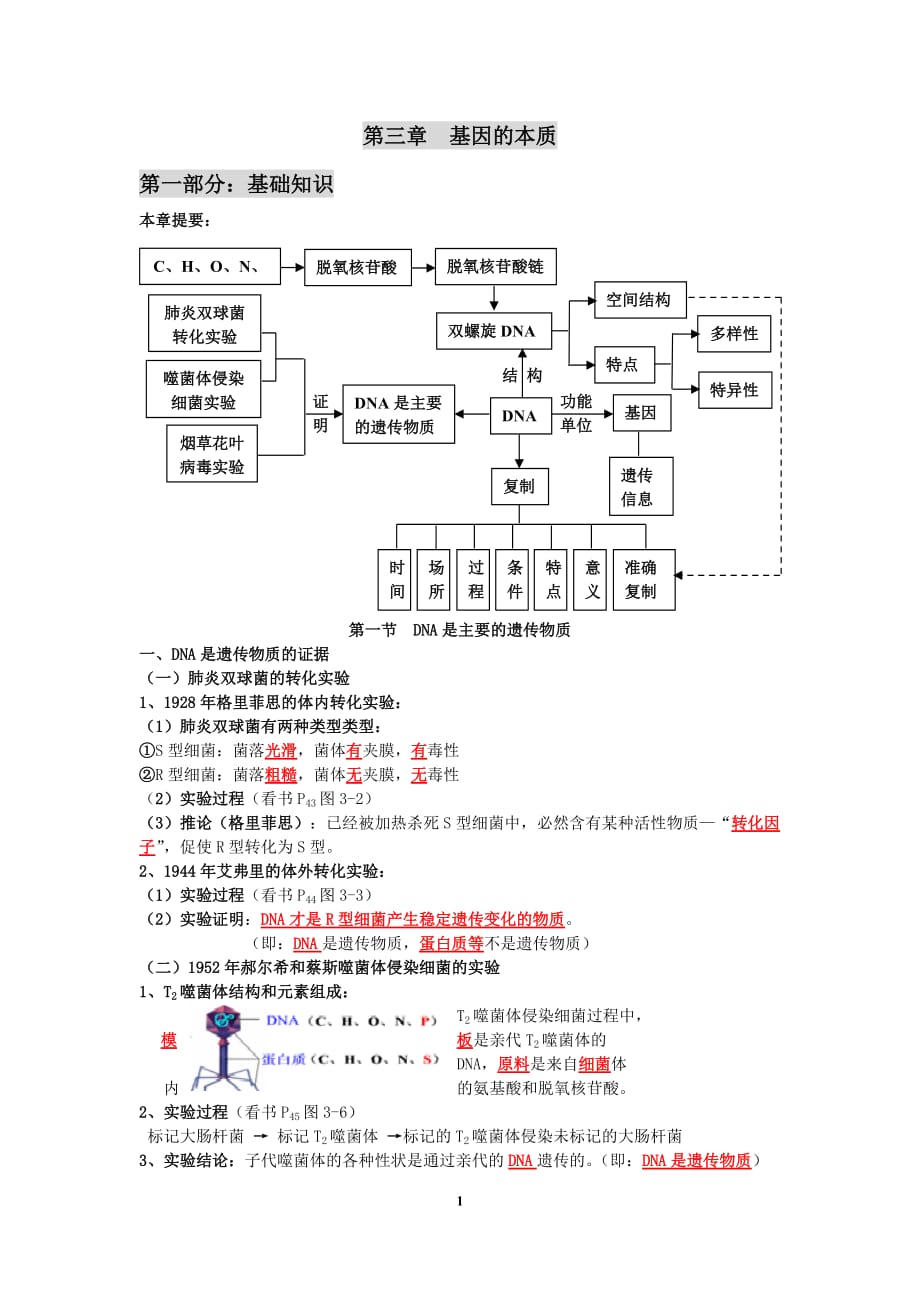 高中生物必修二 第三章基因的本質(zhì)知識(shí)點(diǎn)提綱總結(jié)_第1頁(yè)