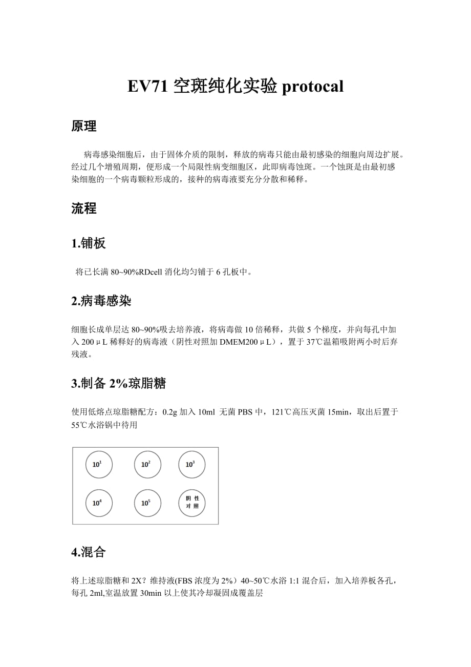 病毒空斑纯化实验protocal_第1页