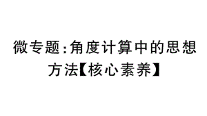 微專題：角度計(jì)算中的思想方法【核心素養(yǎng)】