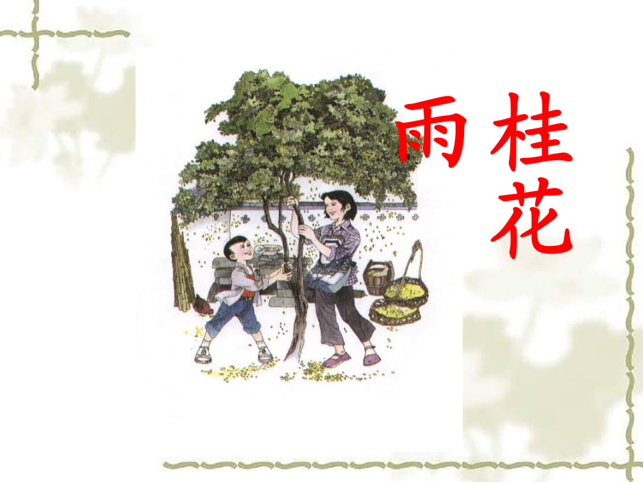 五年級(jí)上冊(cè)語(yǔ)文課件 -桂花雨_人教新課標(biāo)_第1頁(yè)