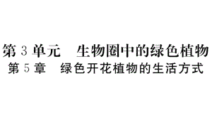 3.5 綠色開花植物的生活方式 2020年秋北師大版七年級(jí)上冊(cè)生物習(xí)題課件(共21張PPT)