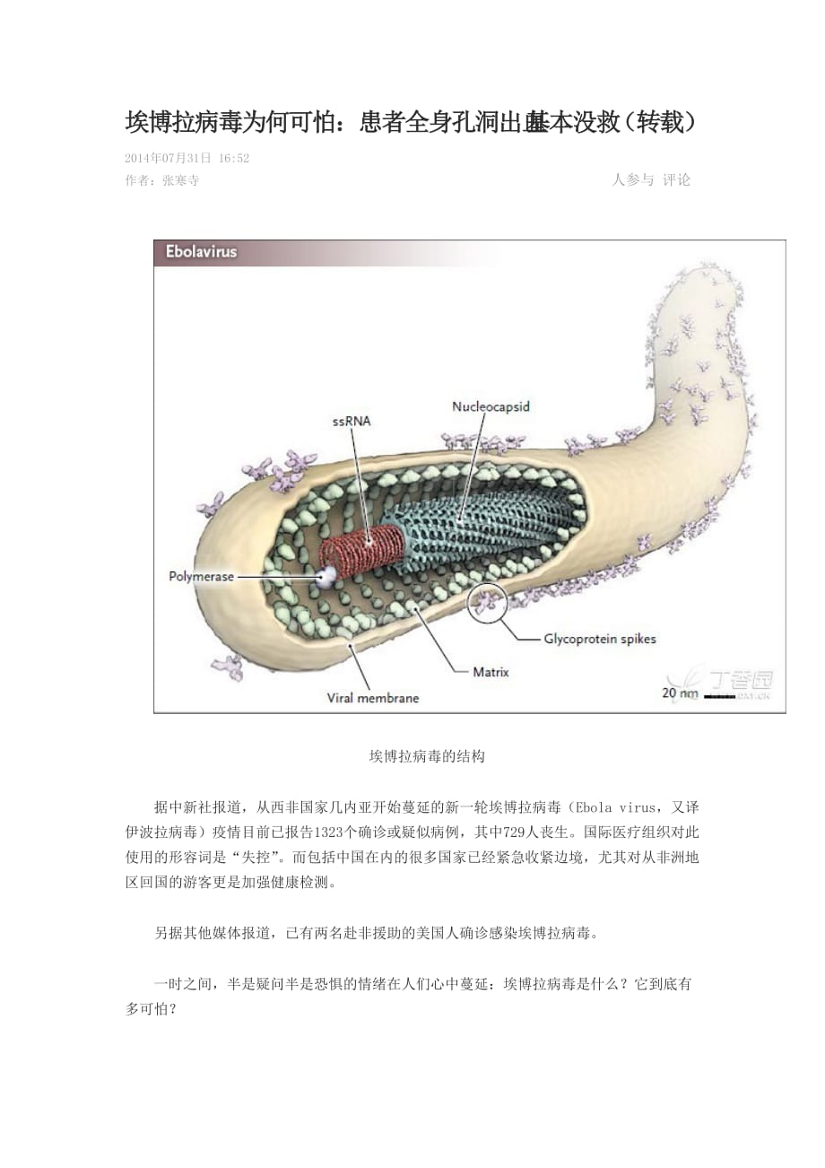 埃博拉病毒為何可怕_第1頁