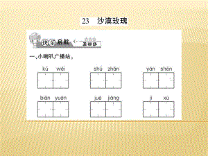 六年級上冊語文課件 - 23 沙漠玫瑰 西師大版