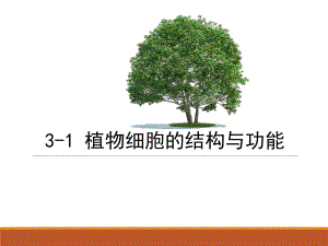 蘇教版七年級生物上冊第3章第1節(jié) 植物細胞的結(jié)構(gòu)與功能 (26張PPT)