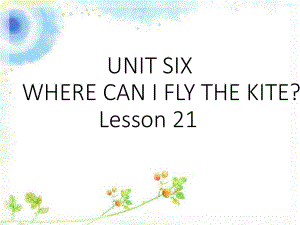 四年級下冊英語課件－UNIT SIX WHERE CAN I FLY THE KITE Lesson 211｜北京課改版 (共18張PPT)