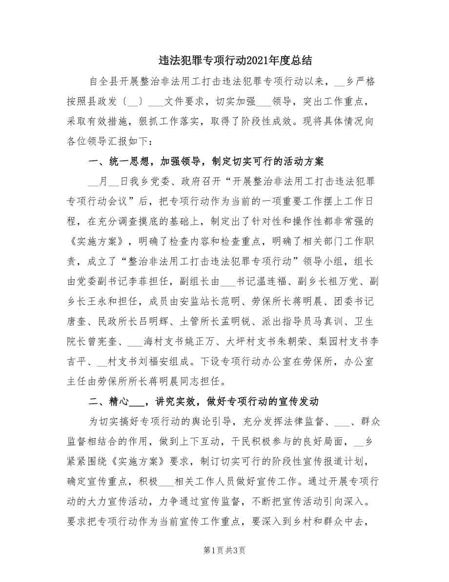 违法犯罪专项行动2021年度总结.doc_第1页