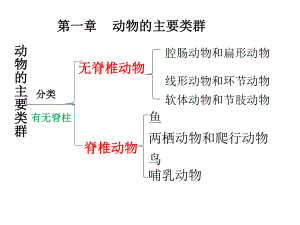 人教版八年級生物上冊第五單元第一章第一節(jié)腔腸動物和扁形動物（36張PPT）