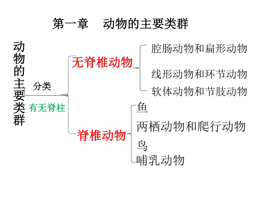 人教版八年級生物上冊第五單元第一章第一節(jié)腔腸動物和扁形動物（36張PPT）_第1頁