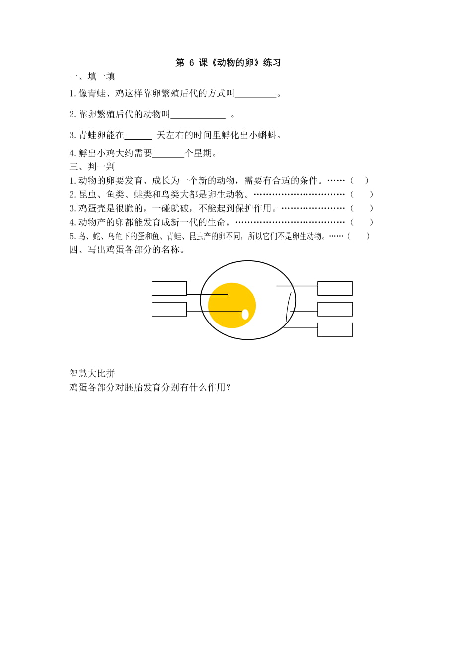 第6課《動(dòng)物的卵》練習(xí)_第1頁(yè)