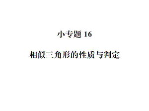 小專題16 相似三角形的性質(zhì)與判定