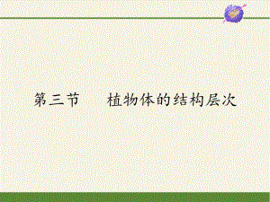 人教版七年級上冊 生物 課件 2.2.3植物體的結(jié)構(gòu)層次（40張ppt）