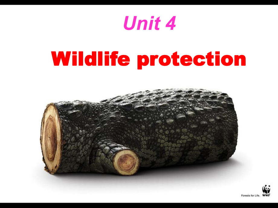 人教版高中英語 必修二 Unit4 《Wildlifeprotection---Reading》(共28張PPT)_第1頁