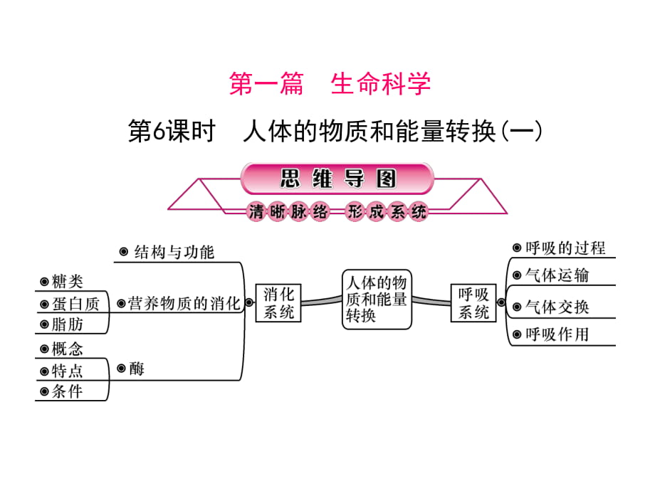 浙江省2018中考科學(xué)復(fù)習(xí)課件：第1篇 生命科學(xué) 第6課時(shí) 人體的物質(zhì)和能量轉(zhuǎn)換（一） (共43張PPT)_第1頁(yè)